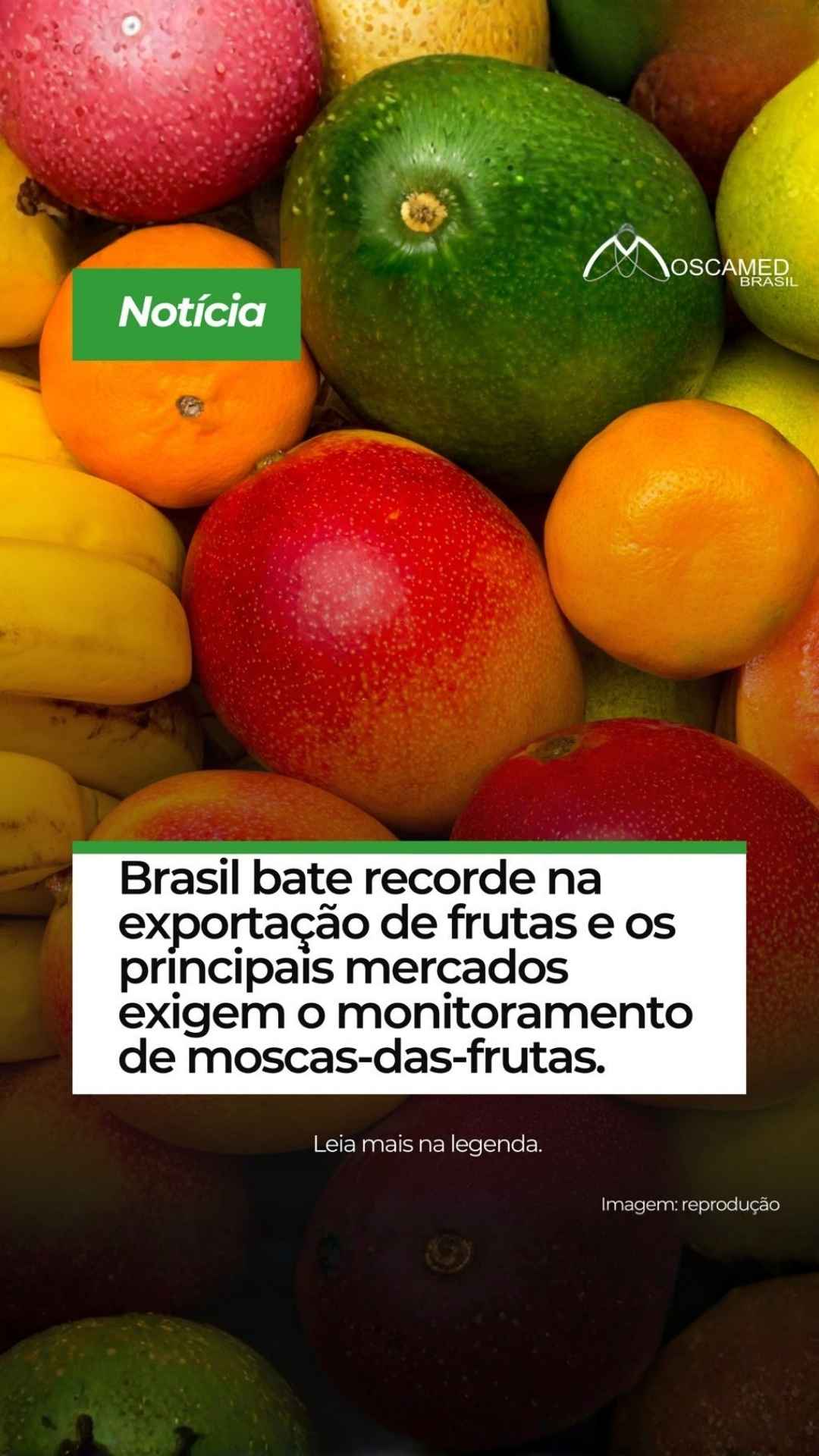 Imagem de capa da notícia