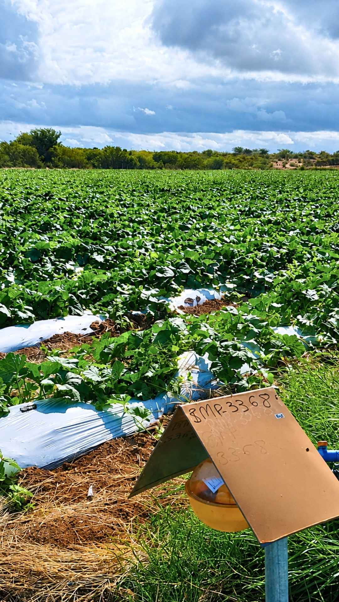 Imagem de notícia institucional