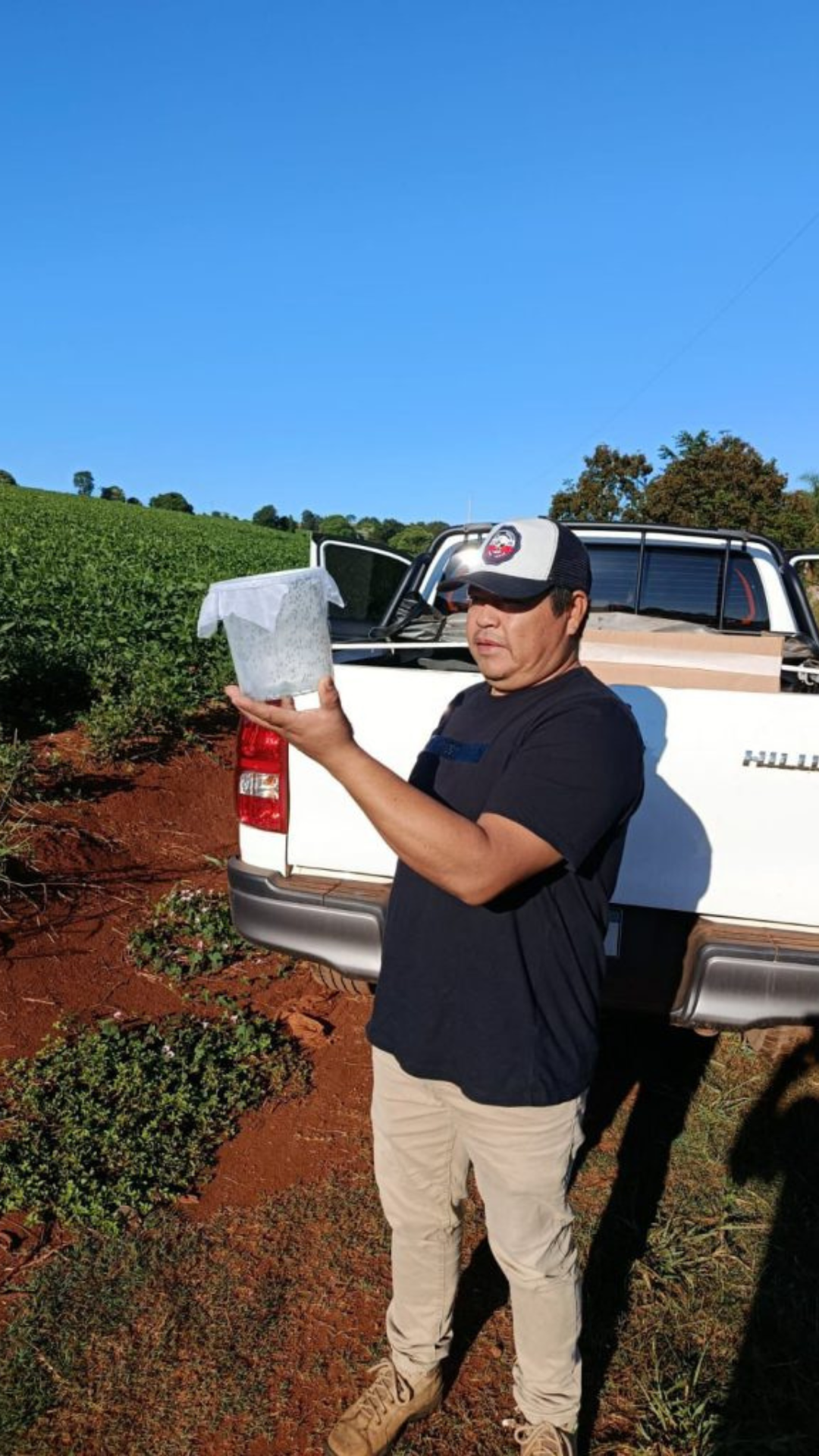 Imagem da notícia Moscamed inicia a liberação oficial de machos estéreis na aldeia do KM-10, em Tenente Portela (RS)